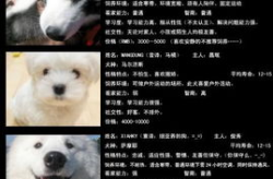 在南方养什么宠物最好看图片,盘点最适合南方的萌宠风采