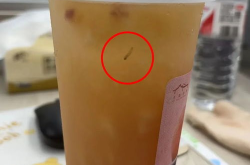 网红奶茶喝出虫子,网红奶茶喝出虫子事件频发，消费者权益如何保障？