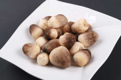 草菇种植,从原料选择到采收管理