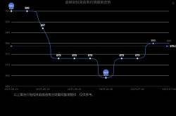一般投资金条多少钱一克-看一看金银街投资金条能值多少钱？(2025年7月5日)—