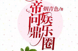 娱乐圈之问鼎,问鼎巅峰的传奇之路
