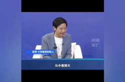 网易公司八卦,从数据泄露到职场风云，一窥互联网巨头背后的故事