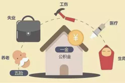 五险一金是指,全面解析我国社会保障体系的核心内容