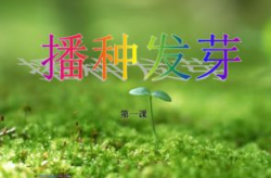 种子的萌发ppt,探索植物生命起点