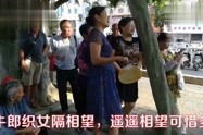 广西柳州莫菁门,网络暴力的阴影与道德的拷问