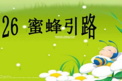 蜜蜂课件,自然界中的勤劳使者与生态平衡的守护者